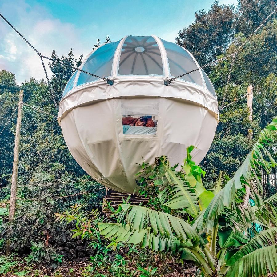 Quinta Do Abacate - Glamping Park Villa Angra do Heroismo Exterior photo
